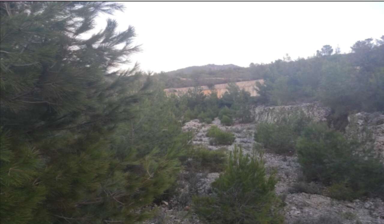 Bodrum’daki Dev Turizm Projesi Bakanlık Tarafından  İptal Etti 1